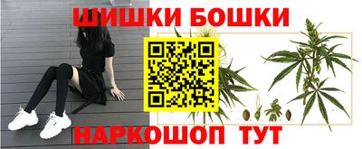 мдпв Кизляр