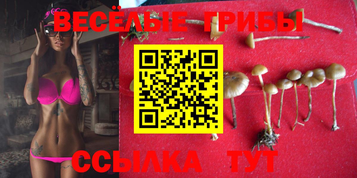 Галлюциногенные грибы прущие грибы Новокубанск