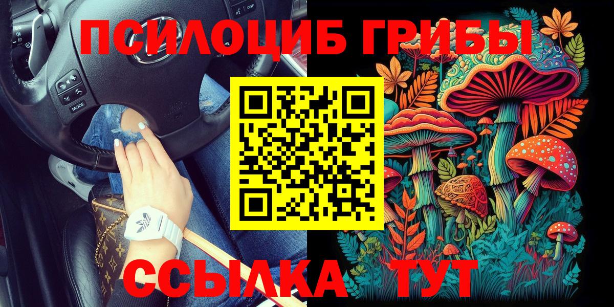 Новокубанск  Галлюциногенные грибы мицелий  Галлюциногенные грибы Magic Shrooms  Вход с VPN 